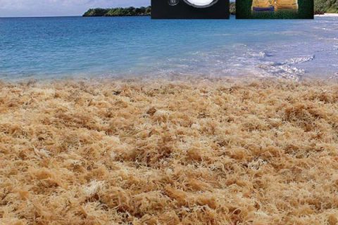 親水膠體-卡拉膠